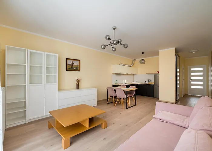 公寓 Wola Jana Kazimierza Homely By Bookinghost 华沙